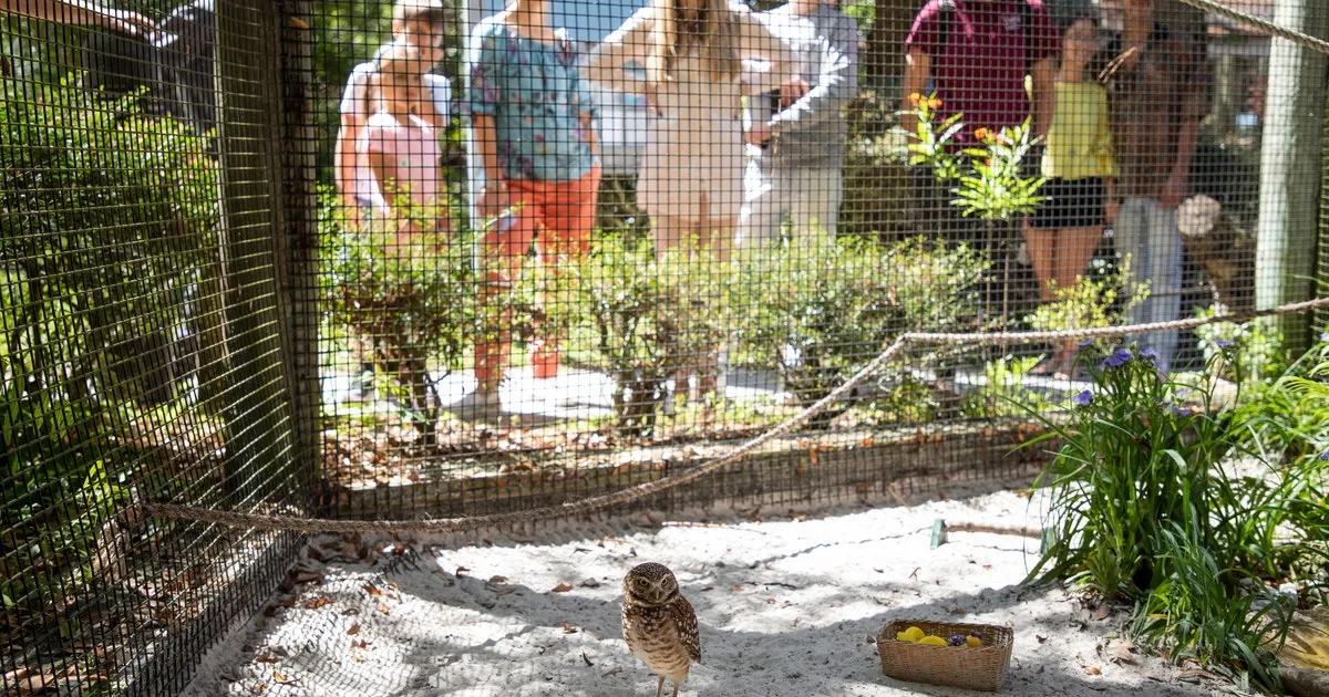 Audubon Center for Birds of Prey — official source image