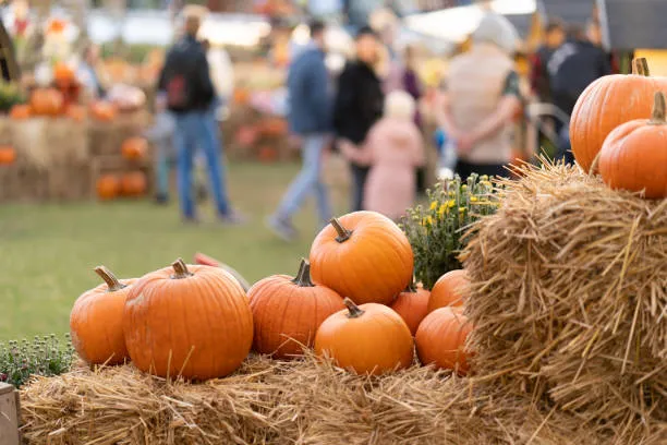 Harvest Festival Weekends — fall 2026 — official source image
