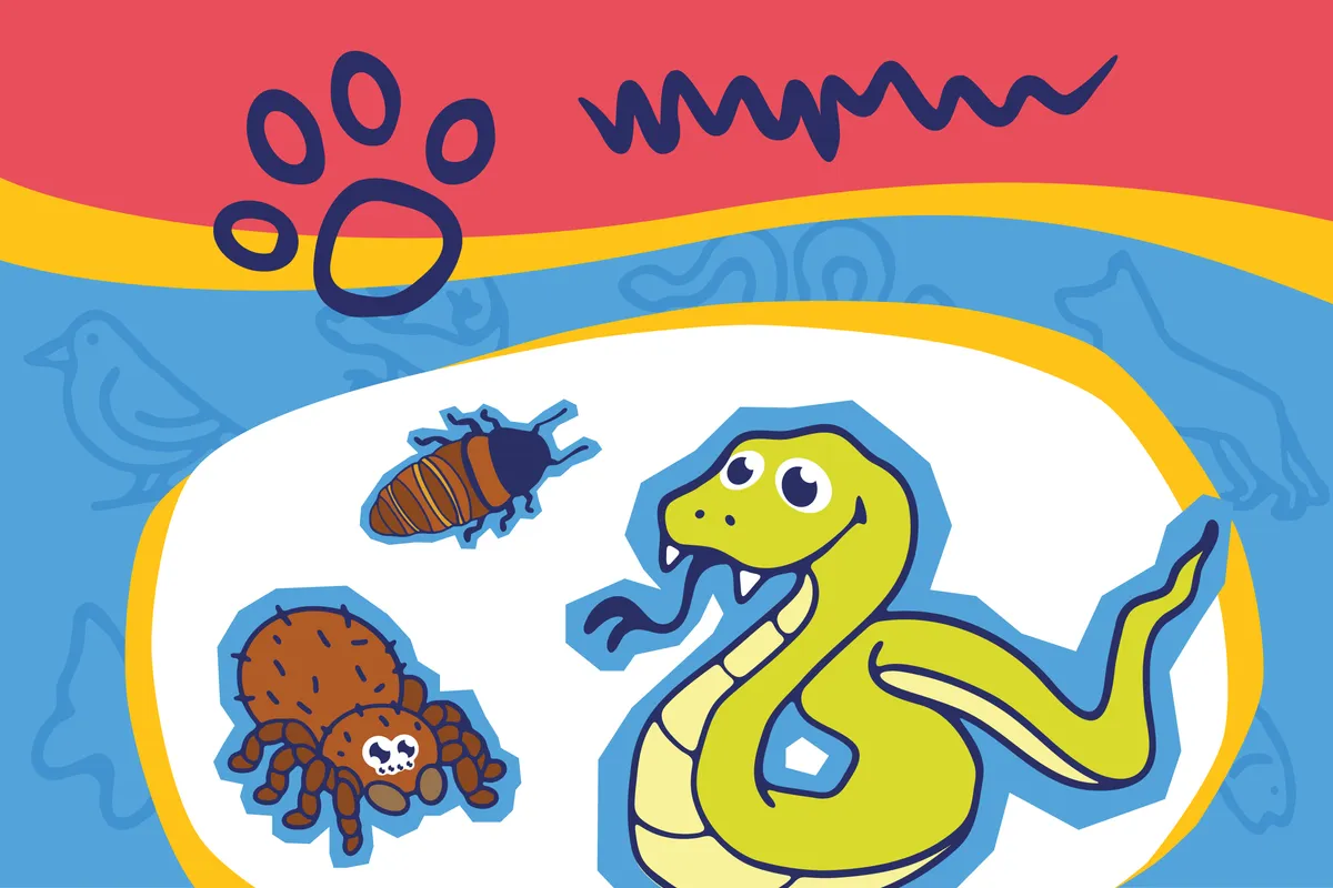 Fun Animal Friday: Creepy Crawlers — official source image