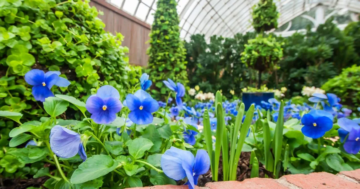 Phipps Conservatory and Botanical Gardens — official source image