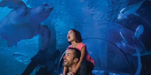 SEA LIFE Charlotte-Concord Aquarium — official source image