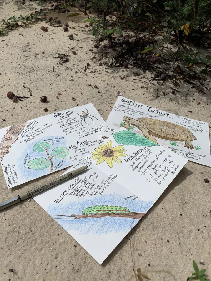 Coastal Connections Nature Journaling — teens 16+ — program image