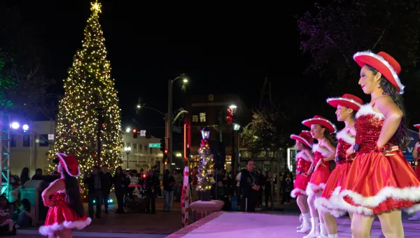 Plaza Navideña with Tree Lighting (Santa Ana) — venue image