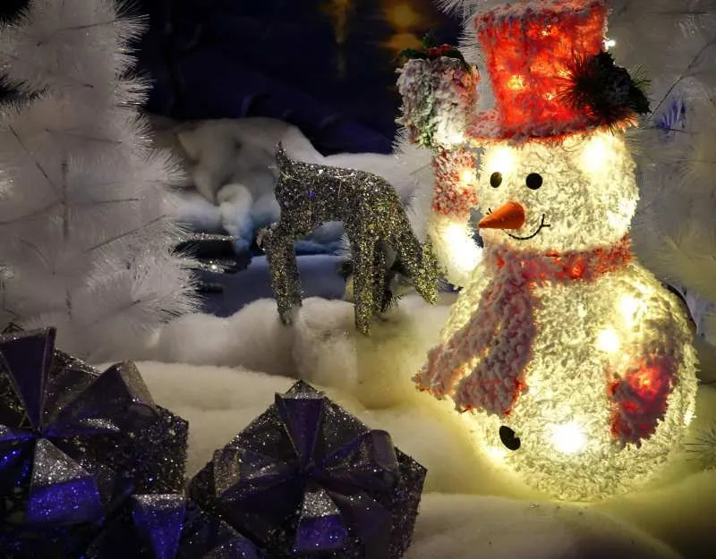 DSO Young People's Family Concert: Winter Magic – A New Year Celebration — official source image