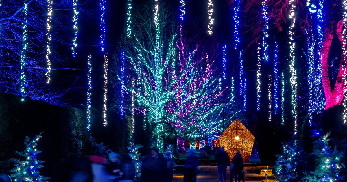 A Longwood Christmas 2026: Cosmic Christmas — official source image
