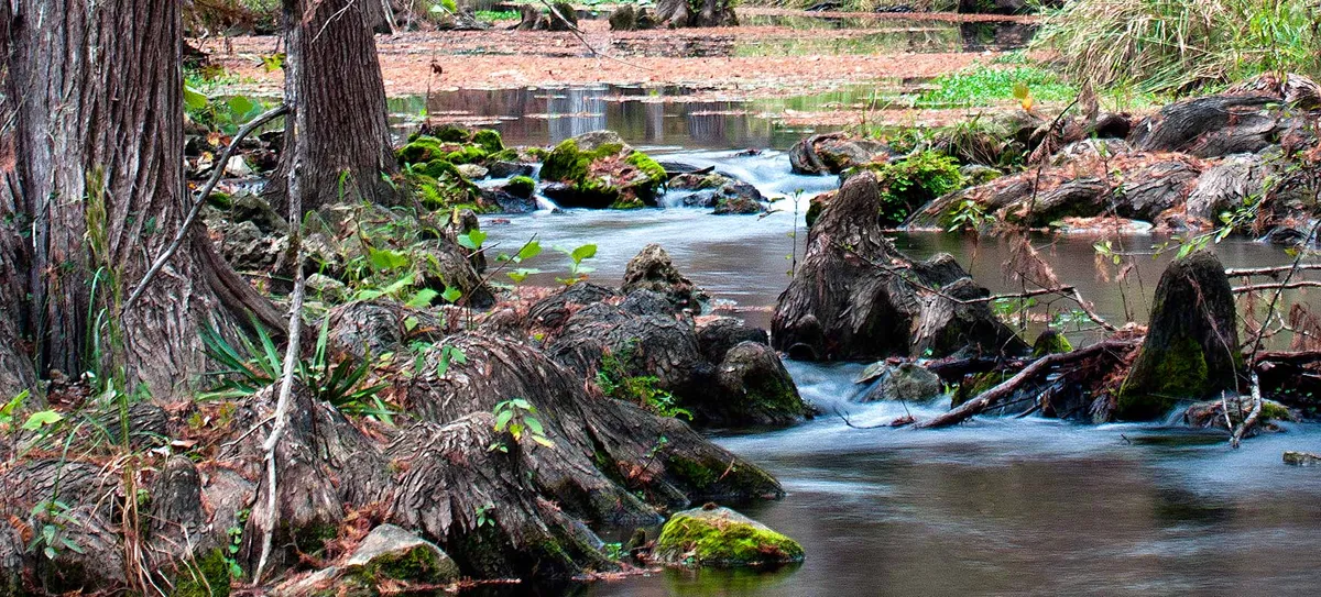 Self-Guided First Day Nature Hikes 2027 — venue image