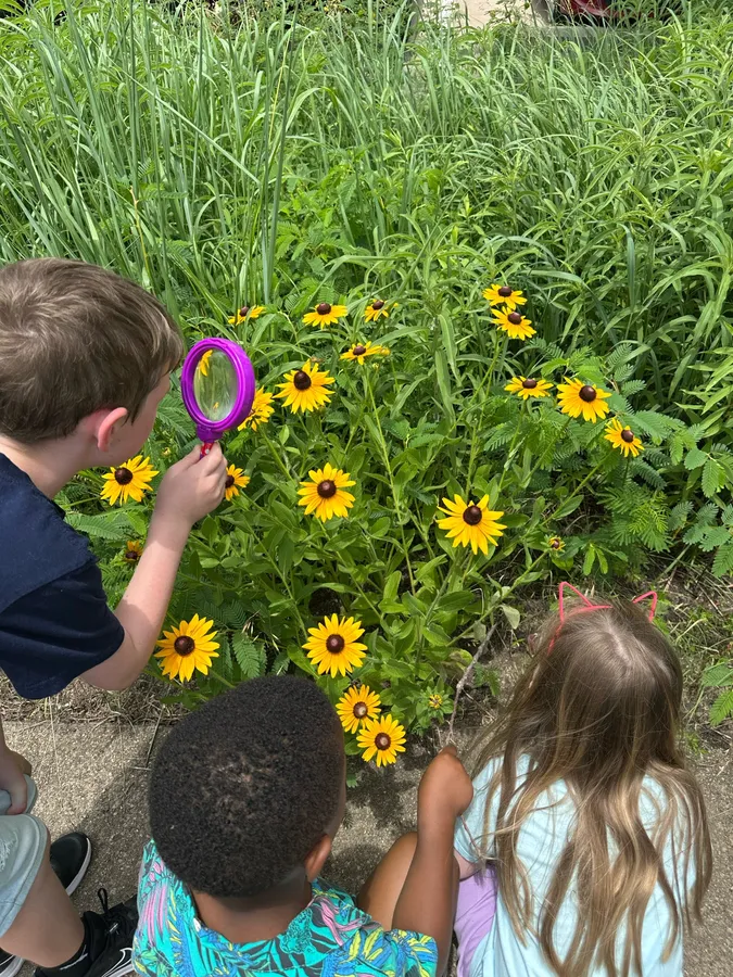 Little B.I.T.s (Botanists in Training) Nature Club — official source image