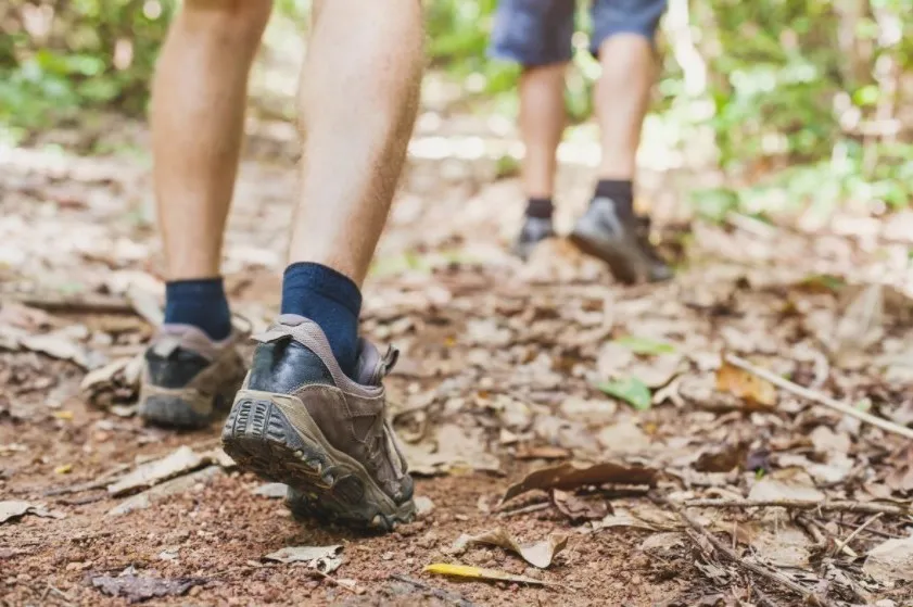 Guided Trails at the Heard Museum — official source image