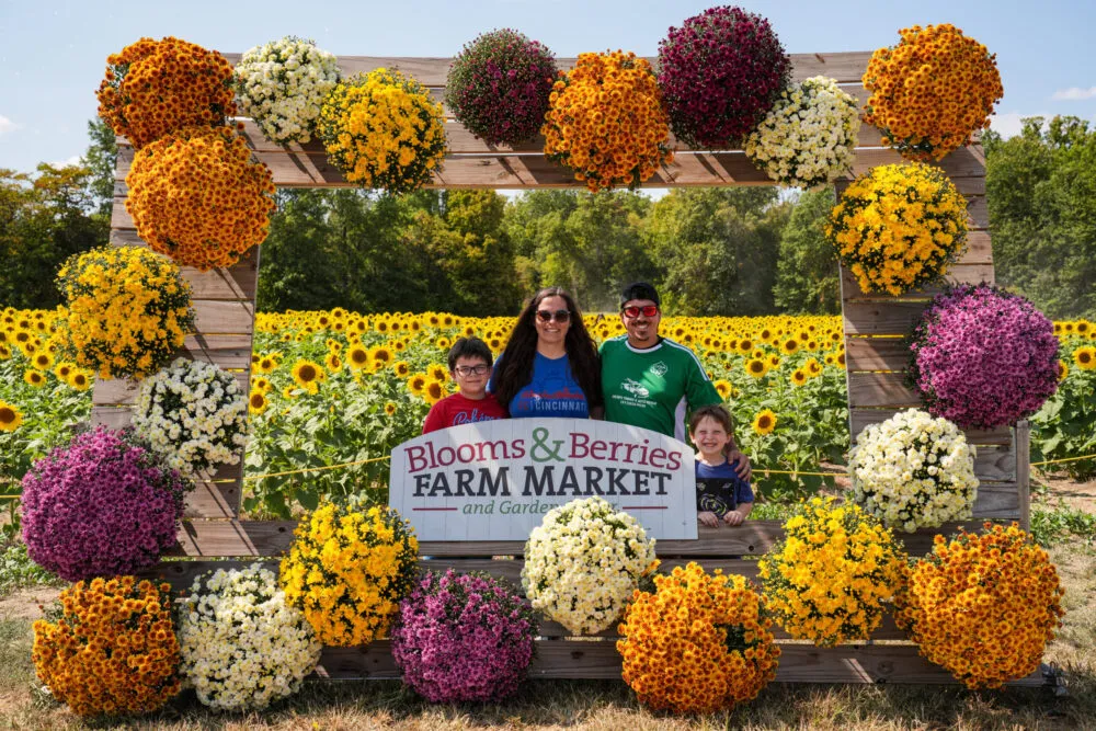 Fall on the Farm at Blooms & Berries — venue image