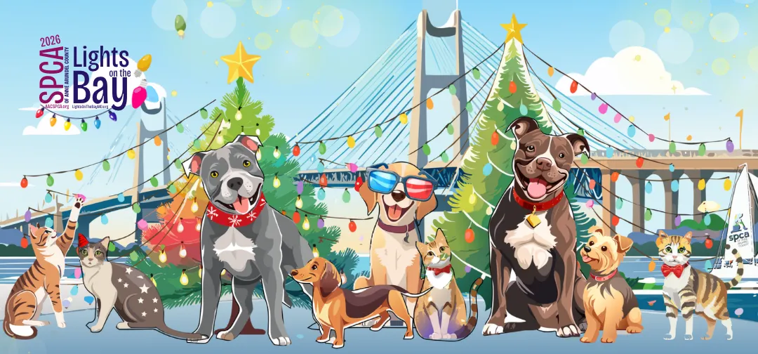 Lights & Leashes: Walk Lights on the Bay with Your Dog — official source image