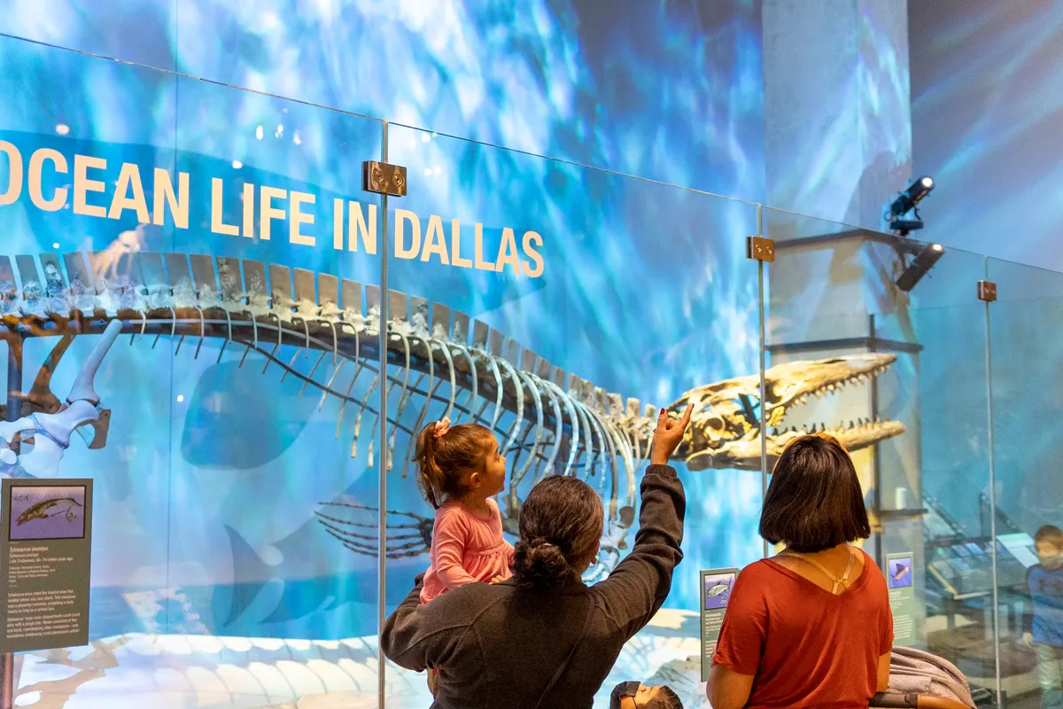 ConnecTEEN STEM volunteer pathway — 2027 applications pending — program image