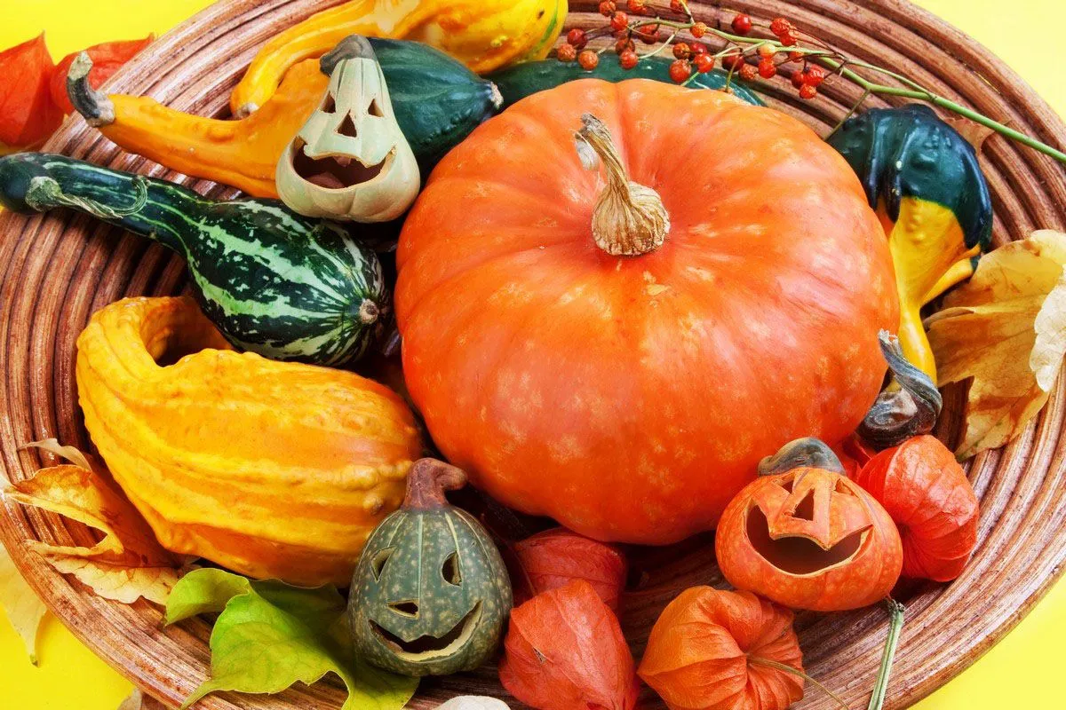Burger Farm Fall Festival — official source image