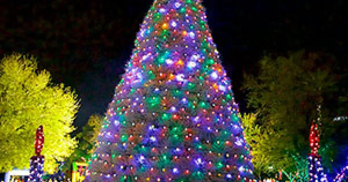 Tumbleweed Tree Lighting Ceremony — official source image