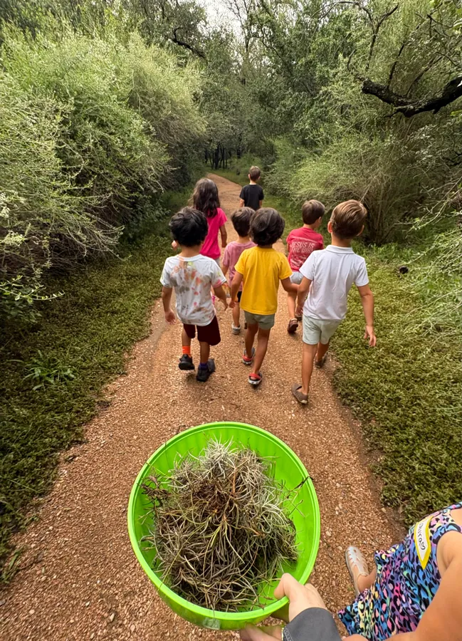 Starting Out Wild: Creepy Crawlies (ages 18 months–3 years) — official source image