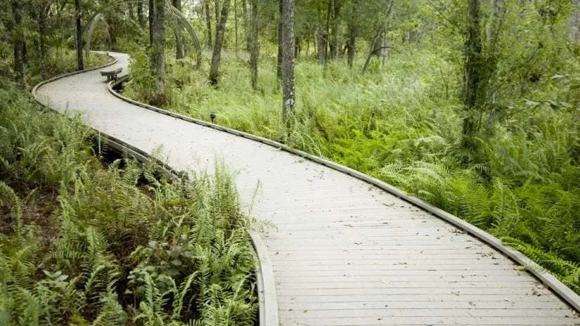 Brooker Creek Preserve & Environmental Education Center — official source image