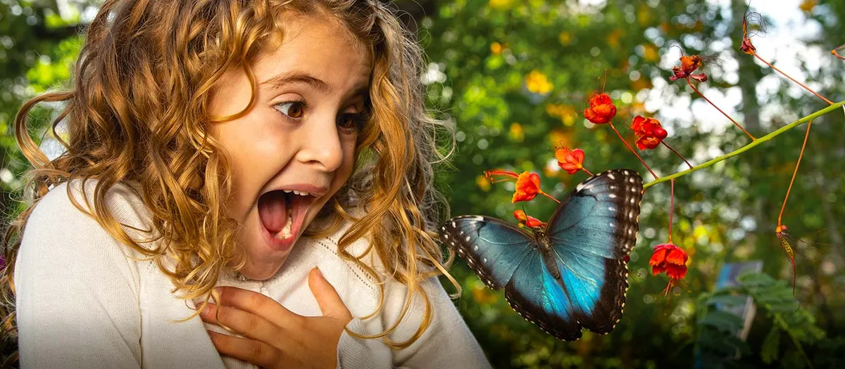 Butterfly Habitat at Springs Preserve — official source image
