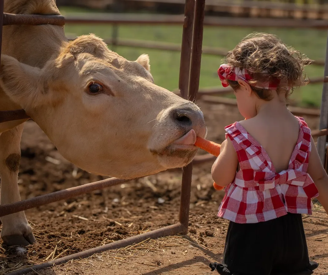 Fall Festival at Mother Nature's Farm — official source image