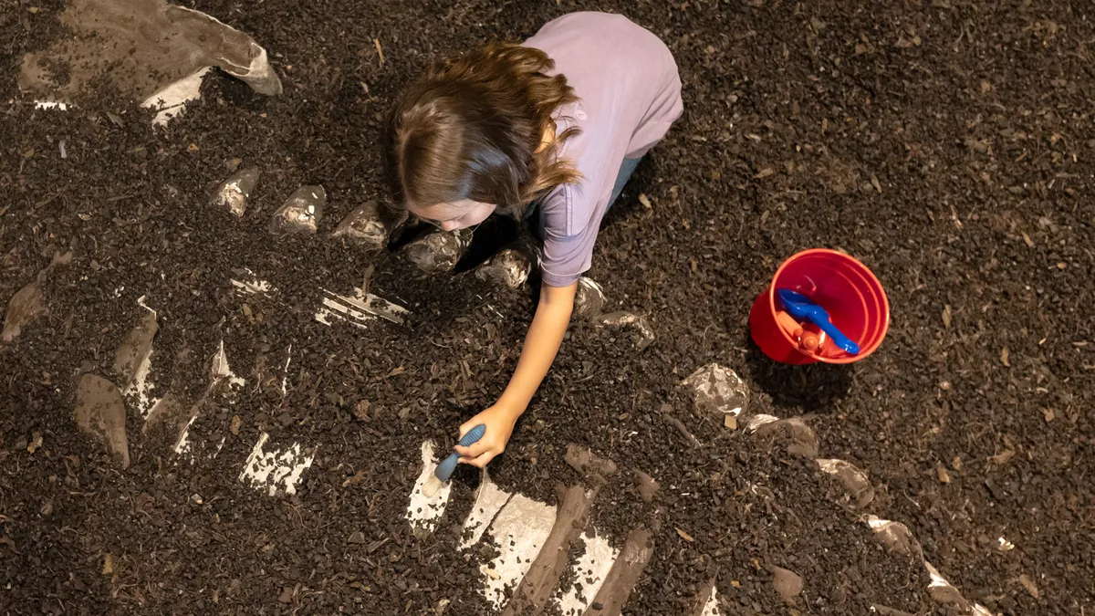 Sugar Land Dig Pit — child fossil excavation — program image
