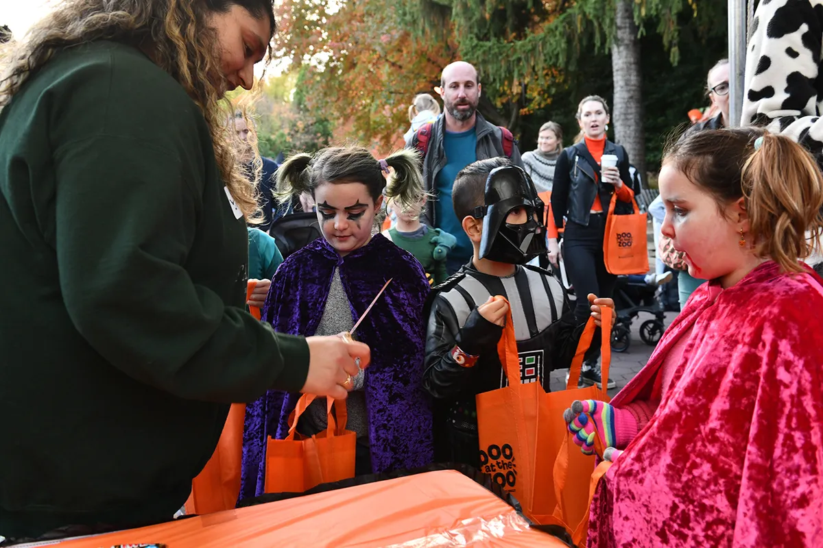 Boo at the Zoo 2026 — Family Halloween Evenings — official source image