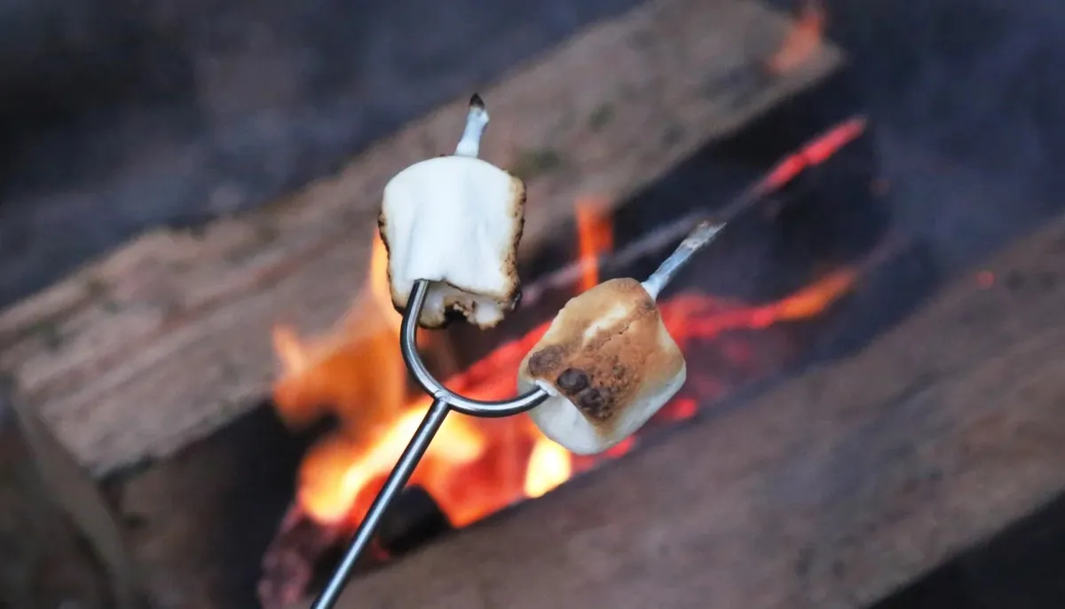 Stars, Stories, and S'mores at Dan Ryan Woods — official source image