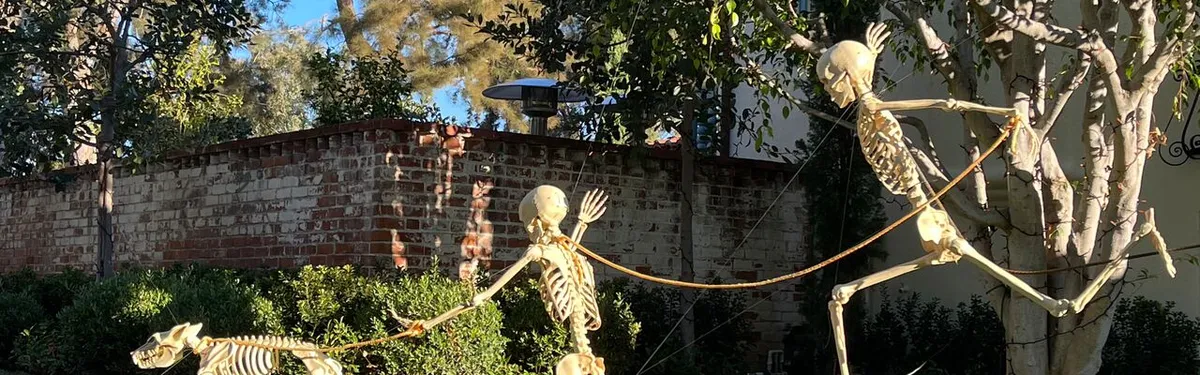 Not-So-Haunted House at Santa Monica Main Library — official source image