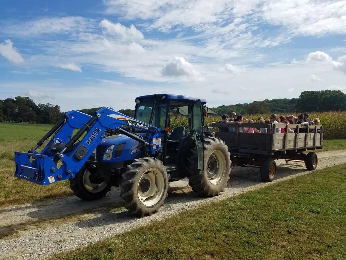 Halloween at the Farm — official source image