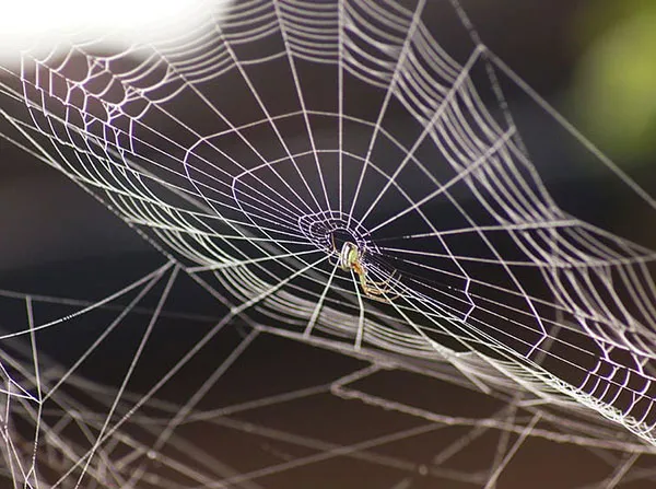 STEM Explorers: Spooky Science — LICM — official source image