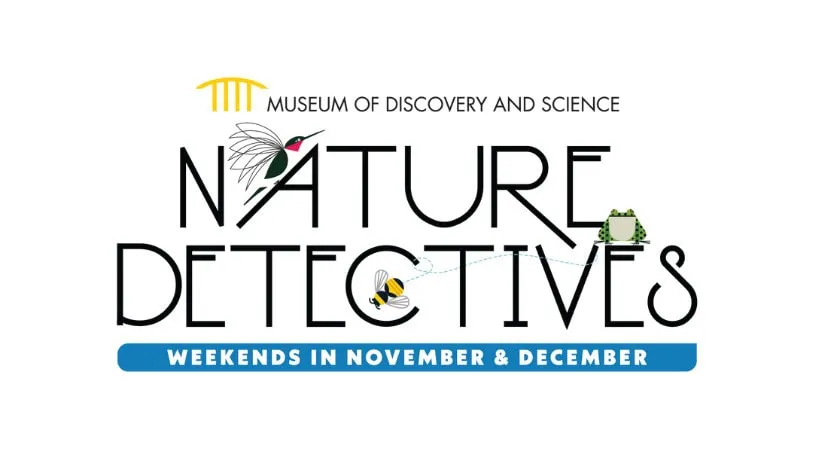 Nature Detectives — November and December weekends — official source image