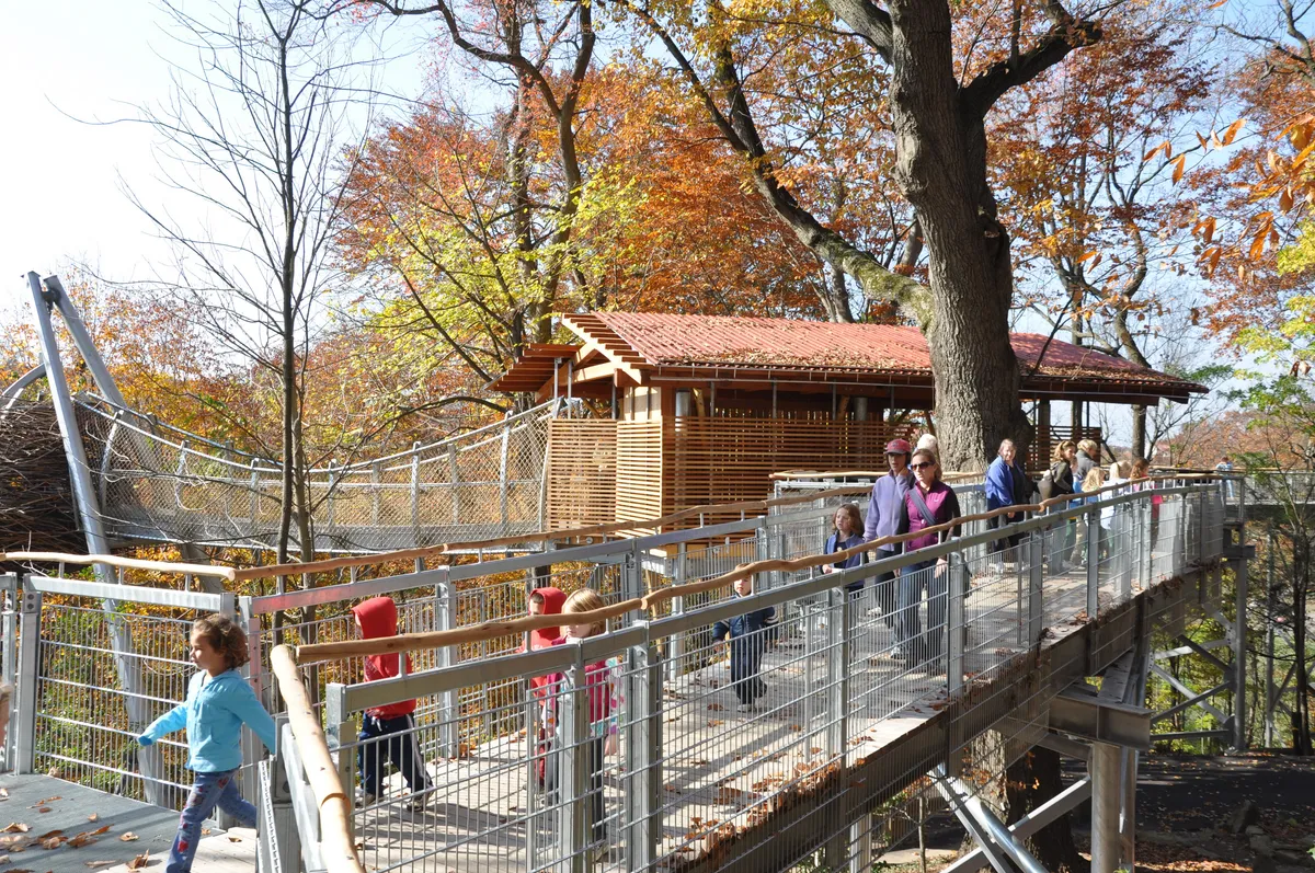 Morris Arboretum & Gardens — Tree Canopy Family Visit — venue image