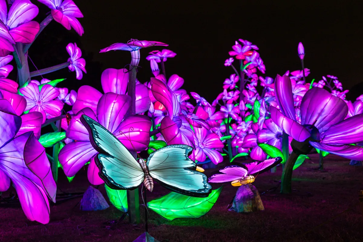 Radiant Nature — 2026–27 lantern festival — official source image