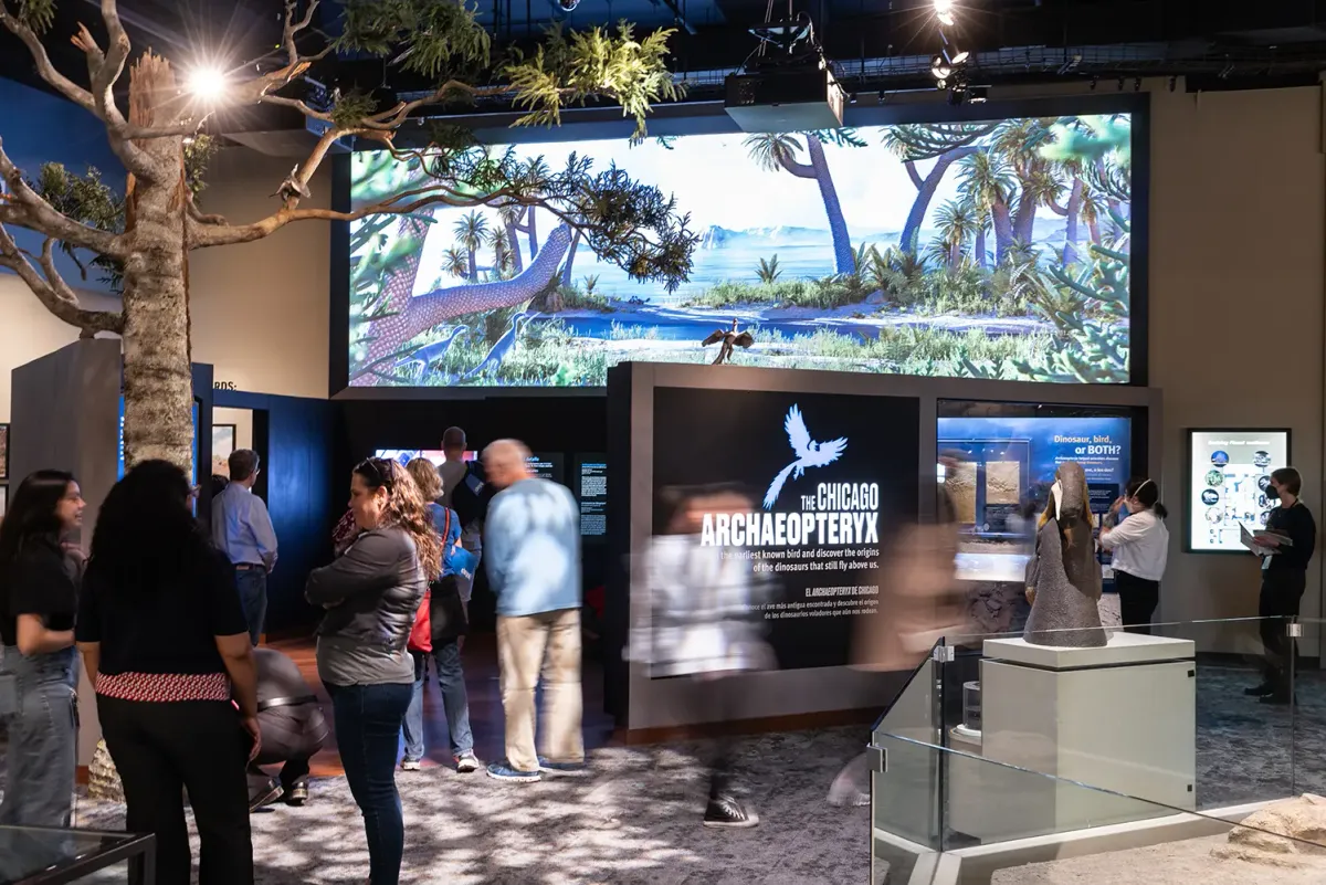 National Fossil Day — Field Museum — official source image