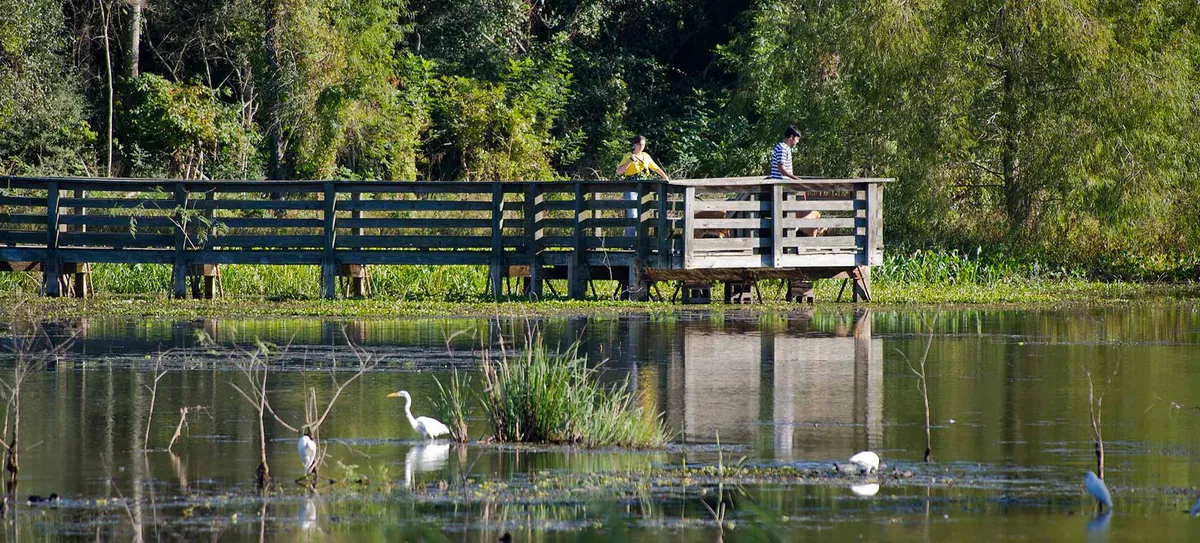 The Battle of the Birds — Brazos Bend State Park — venue image