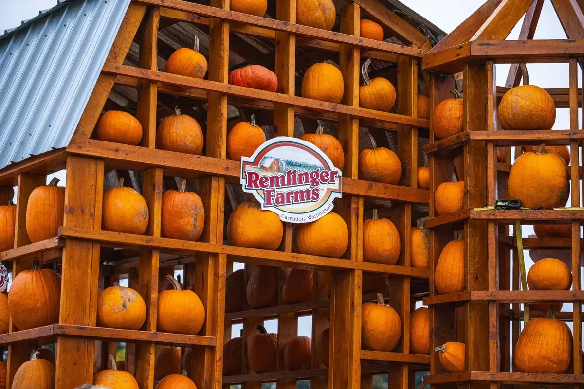 Remlinger Farms Fall Harvest Pumpkin Festival — official source image