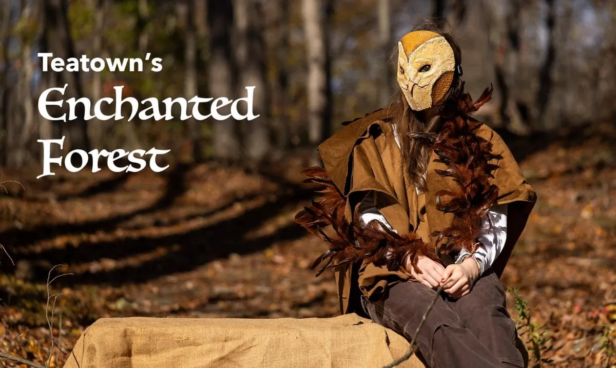 Enchanted Forest (for families) — official source image