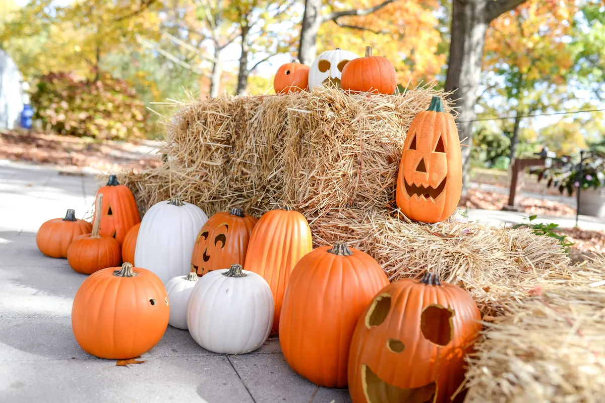 Halloween at Queens Botanical Garden — official source image