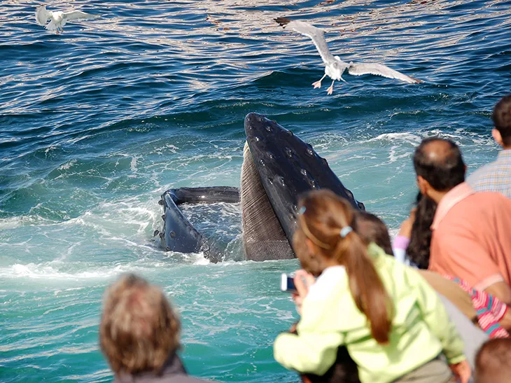 New England Aquarium — official source image