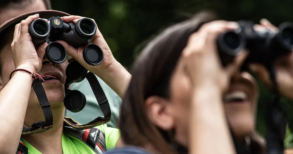 Reimagining Birding at Newell Creek Canyon — official source image