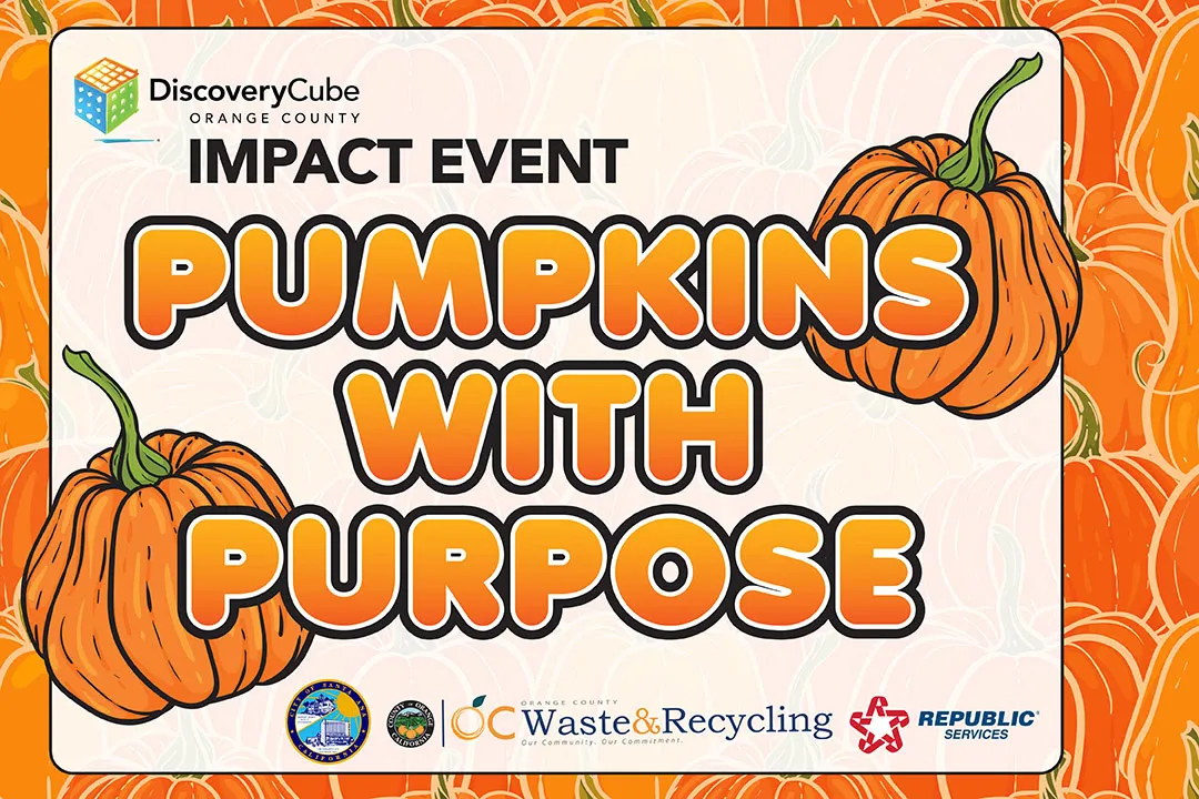 Pumpkins with Purpose: Impact Event — official source image