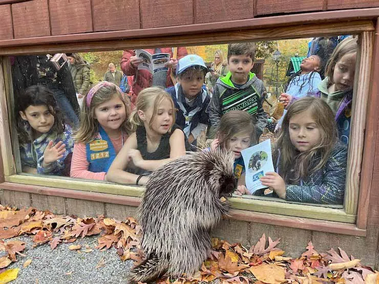 Scout Night at Brandywine Zoo — official source image