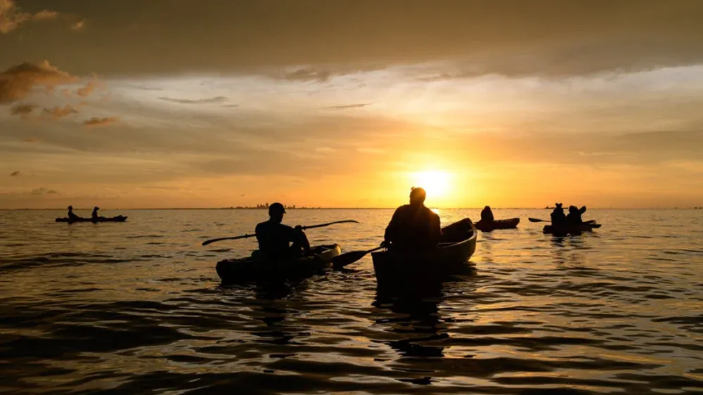 E.G. Simmons Conservation Park — official source image