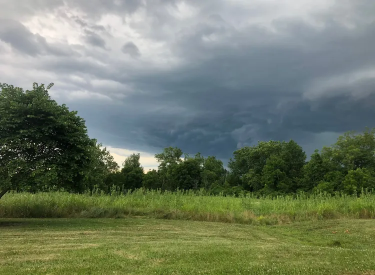 Forest Run MetroPark — official source image