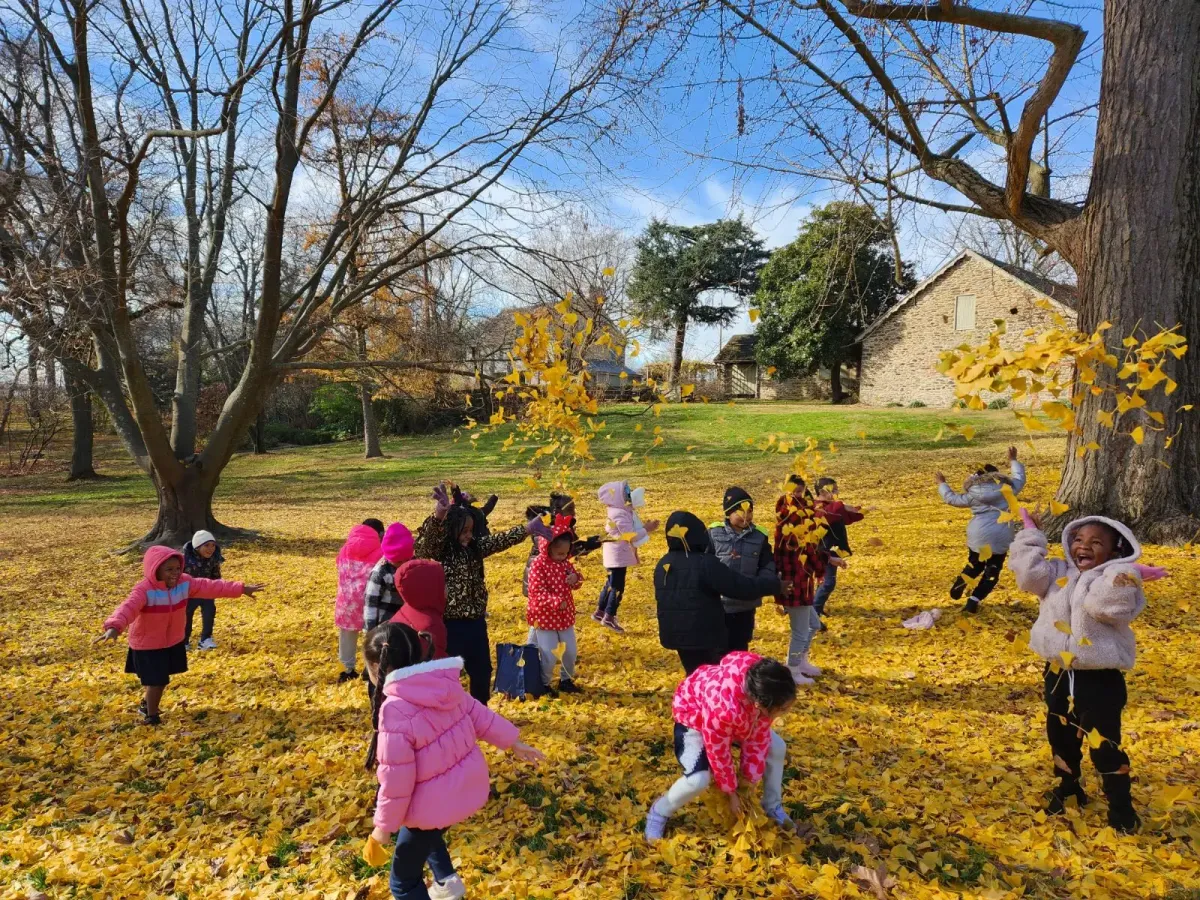 Little Explorers: Colorful Leaves — official source image