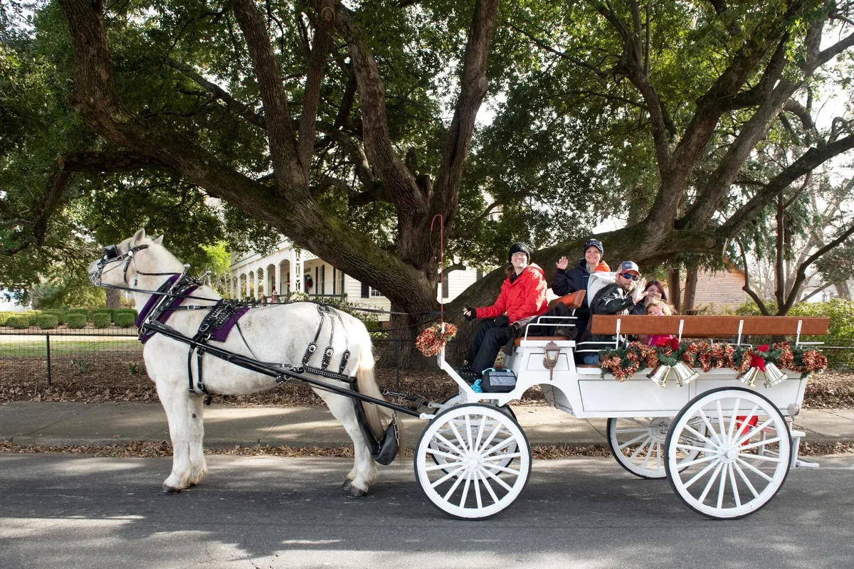 Horse-Drawn Carriage Rides at ChristmasVille — official source image