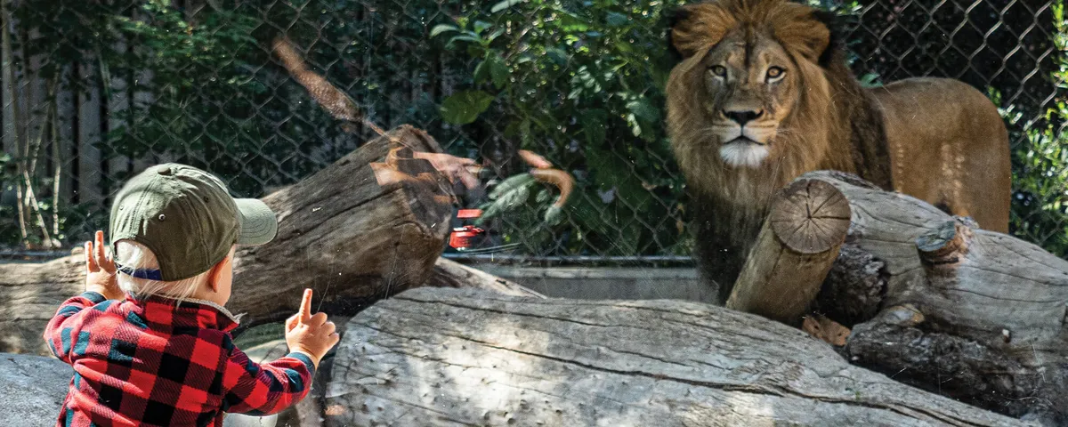 Denver Zoo Community Free Days (November) — official source image