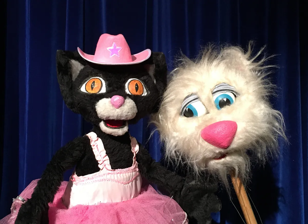 The Princess, the Unicorn, and the Smelly-Foot Troll — puppet show — venue image