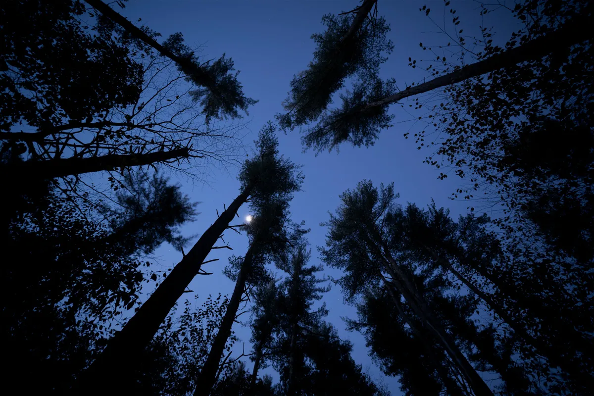 Family Night Hike: Moon Magic at Habitat — venue image