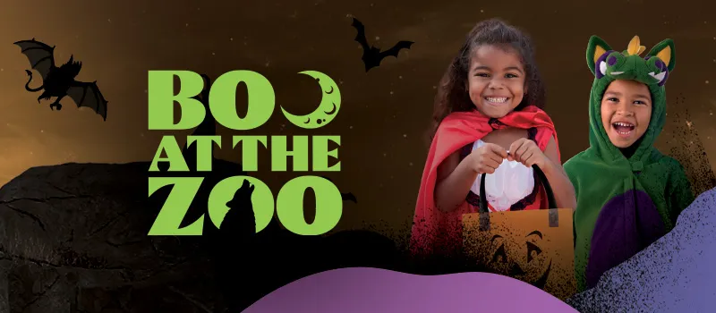 Boo at the Zoo — official source image
