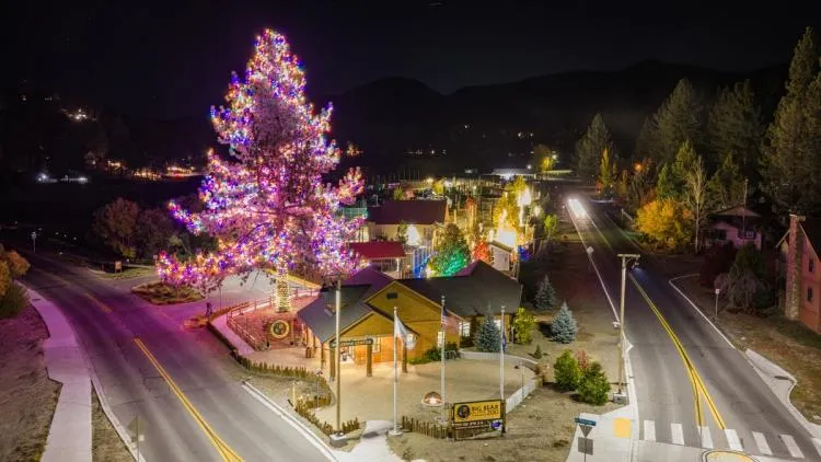 Alpine Zoo Wild Lights (Big Bear Alpine Zoo) — official source image