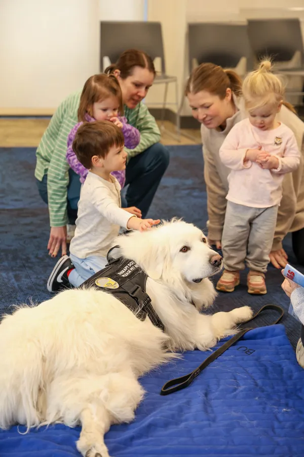 Books with Bo: Read to a Therapy Dog in Grove City — official source image