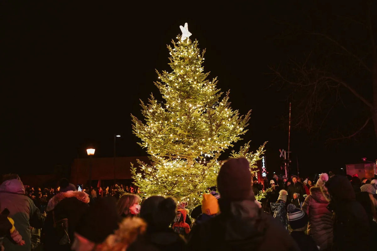 Light Up The Lake Celebration (Wayzata) — official source image